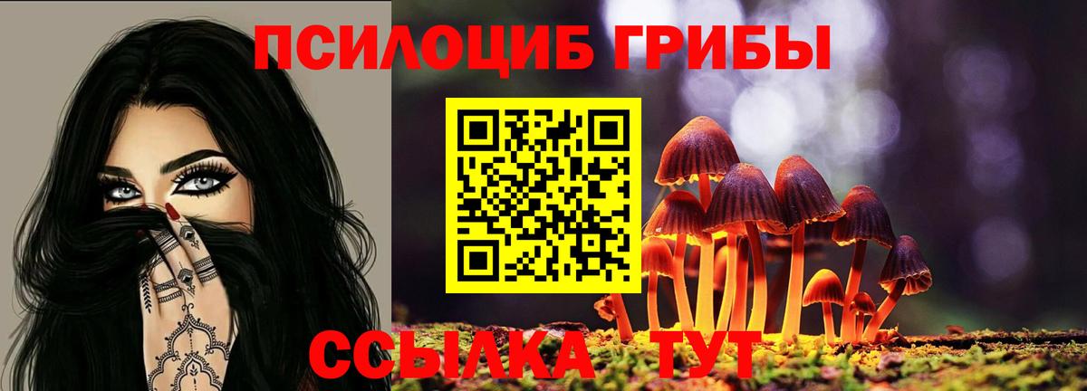 Владимир  Галлюциногенные грибы мицелий  Вход с VPN 